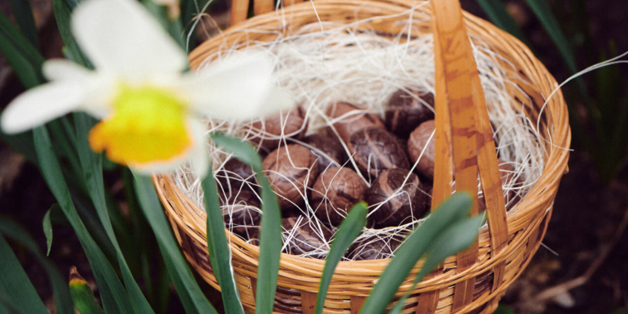 Chasse aux oeufs Nao