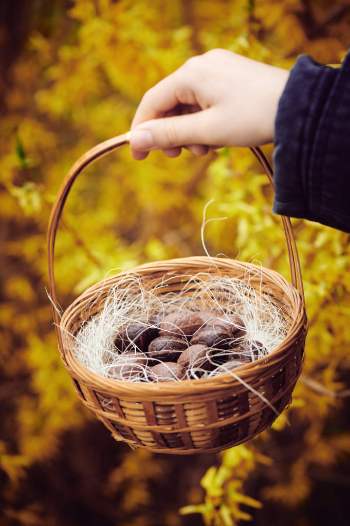 Chasse aux oeufs - panier