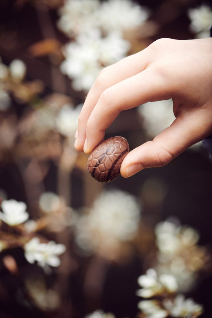 Oeufs de Pâques en chocolat Nao - lait praliné