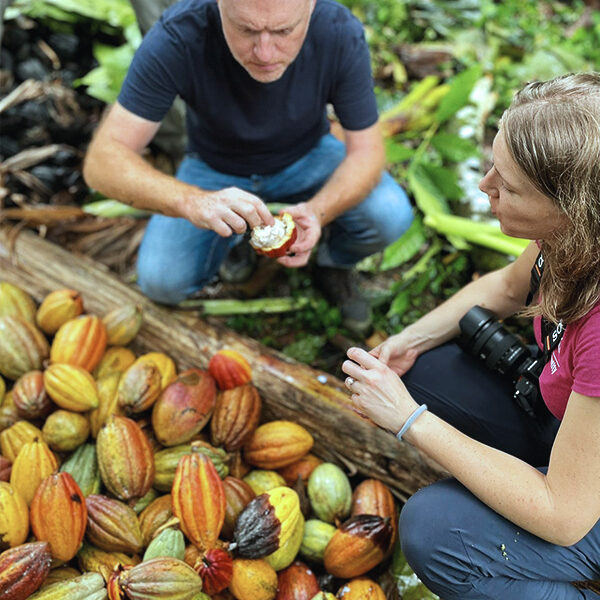 nos chocolats Bean-to-bar